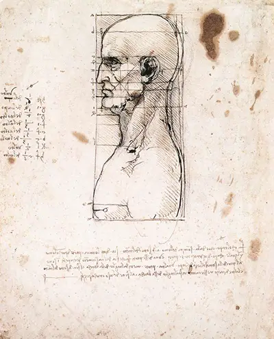 Buste van een man in profiel met afmetingen en notities Leonardo da Vinci